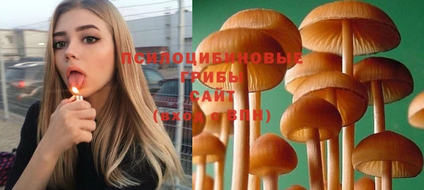 прущий лед Богородск