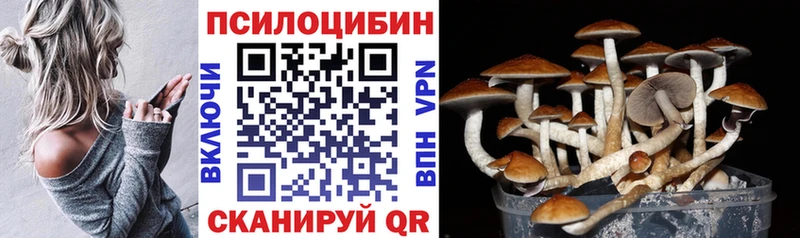 Галлюциногенные грибы MAGIC MUSHROOMS  сколько стоит  Нефтеюганск 
